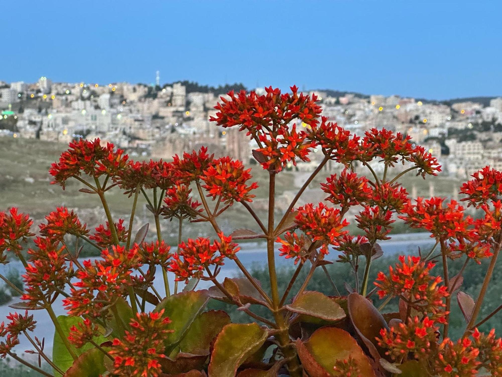 Jerash City View Gerasa Exterior foto